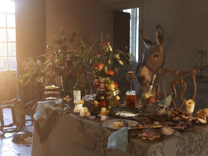 Langues ânéliquesArchival Pigment Print, gerahmtFormat: 140 x 105 cm • Auflage: 5 + 2 AP4.500,– € netto