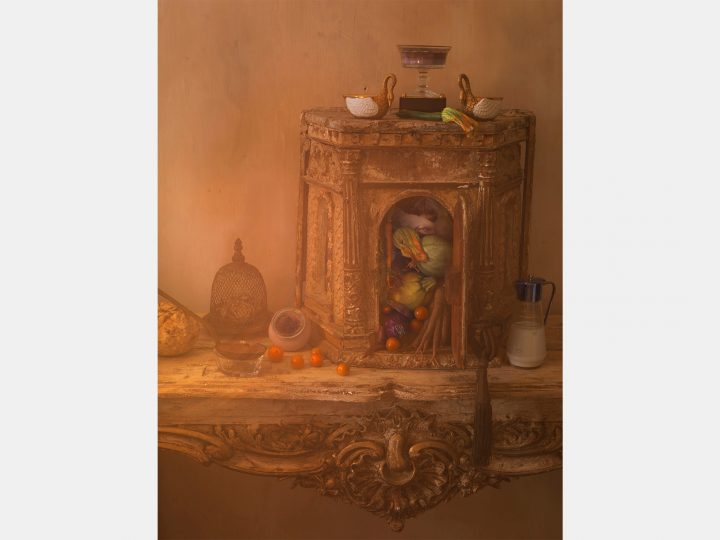 Cygnes gourmandsArchival Pigment Print, gerahmtFormat: 30,5 x 40,5 cm • Auflage: 4 + 2 AP1.250,– € nettoArchival Pigment Print, gerahmtFormat: 105 x 140 cm • Auflage: 3 + 1 AP4.500,– € netto