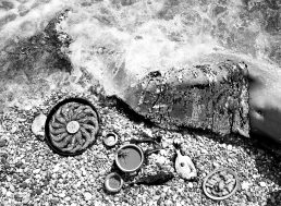 Fruit de merArchival Pigment Print, gerahmtFormat: 36,5 x 24,5 cm • Auflage: 4 + 2 AP650,– € nettoArchival Pigment Print, gerahmtFormat: 140 x 94 cm • Auflage: 3 + 1 AP4.500,– € netto